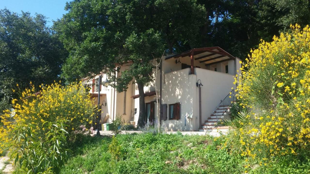 Bed and Breakfast Le Querce Ancona Exterior foto